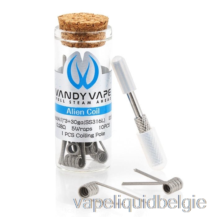 Vape Smaken Vandy Vape Prestaties Vooraf Gebouwde Spoelen 0.28ohm Buitenaardse Spoel